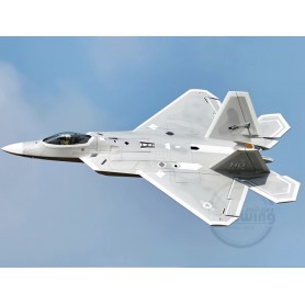 Freewing F-22 Raptor 80mm EDF Jet 